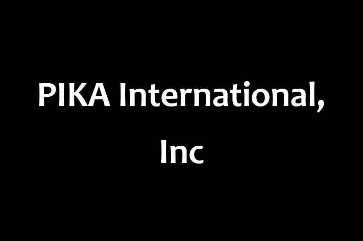 Technology Company PIKA International Inc