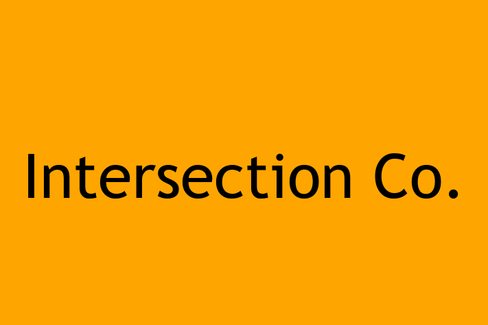 Software Firm Intersection Co.