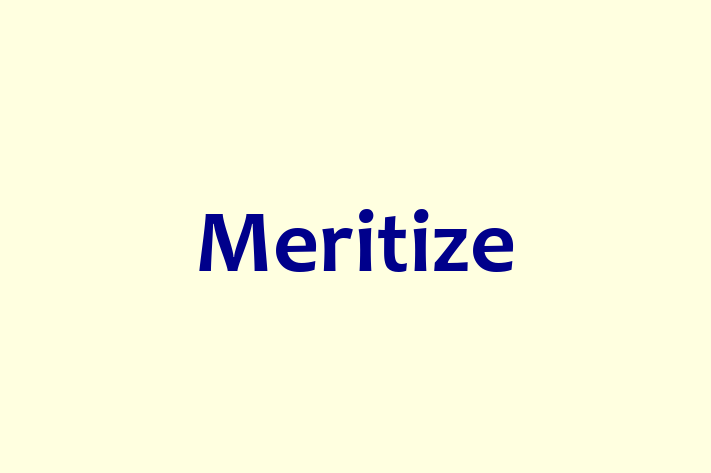 HR Administration Meritize