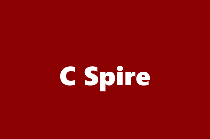 Application Development Company C Spire