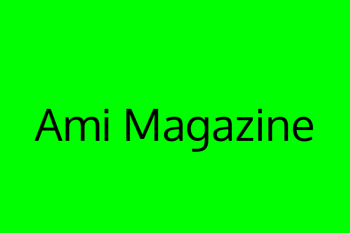 Software Consultancy Ami Magazine