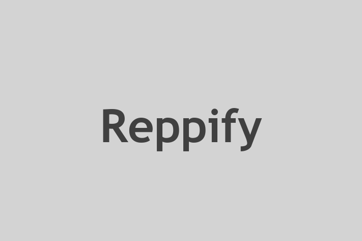 IT Company Reppify