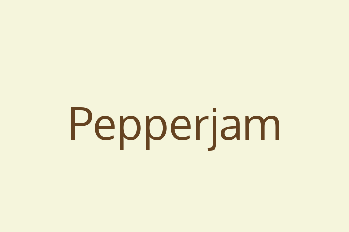 Tech Solutions Company Pepperjam