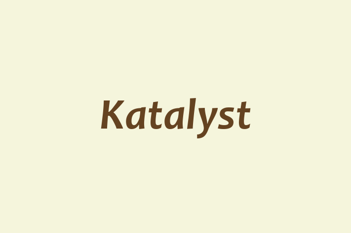 Tech Firm Katalyst