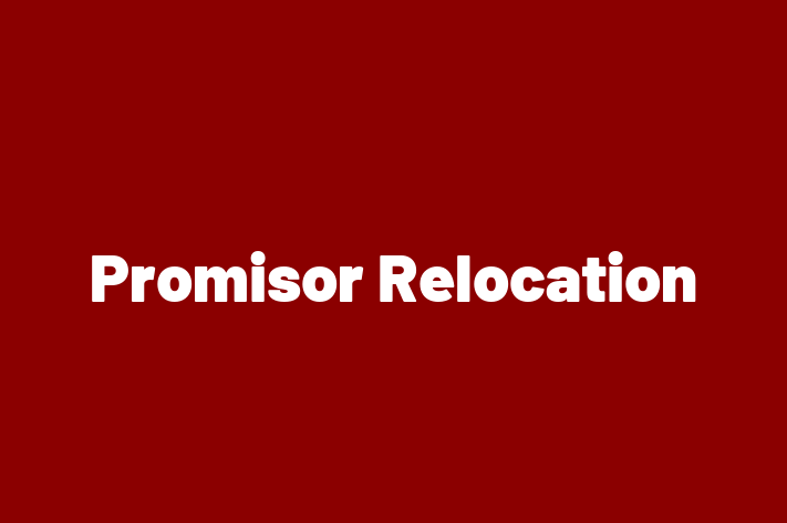 Technology Solutions Firm Promisor Relocation