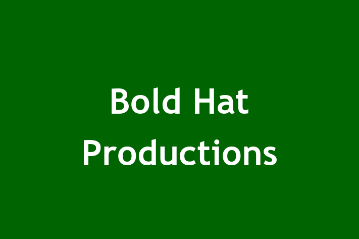 Labor Relations Bold Hat Productions