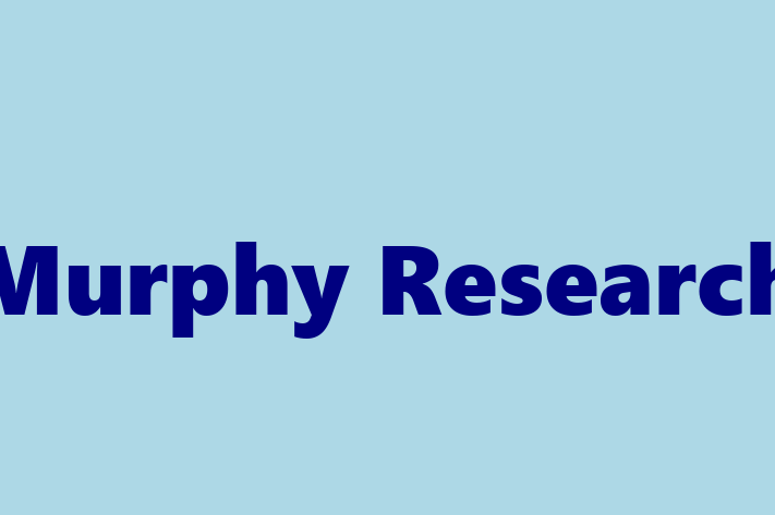 Application Development Company Murphy Research