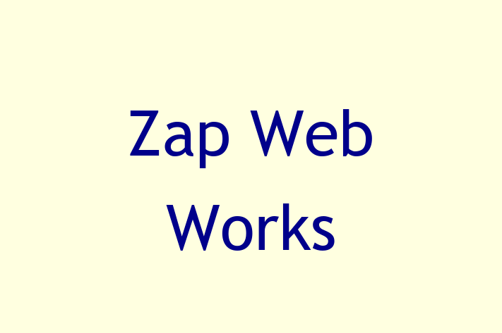 Software Development Firm Zap Web Works