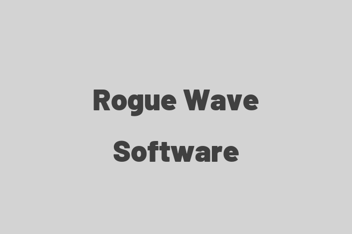 Digital Solutions Provider Rogue Wave Software