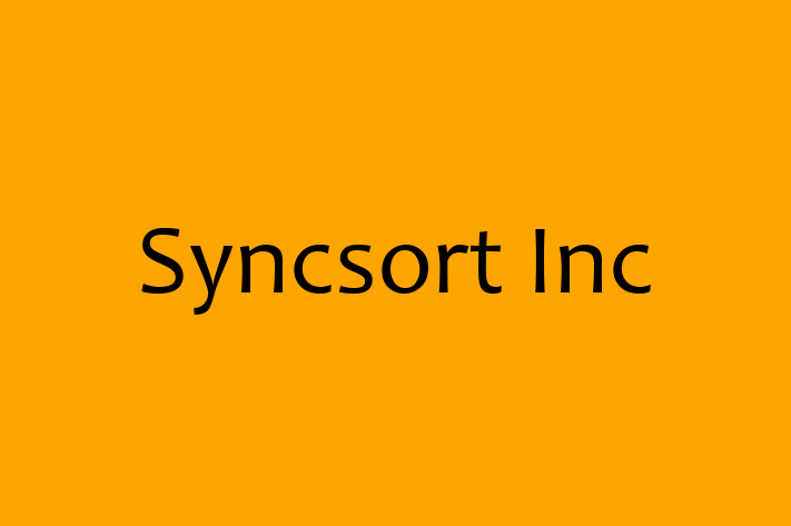 Software Services Company Syncsort Inc