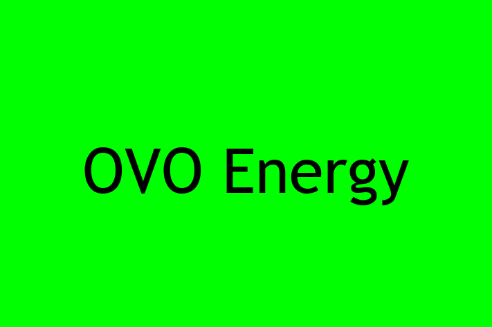 Software Services Company OVO Energy