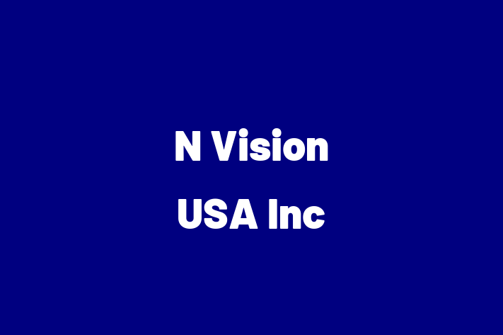 Technology Company N Vision USA Inc