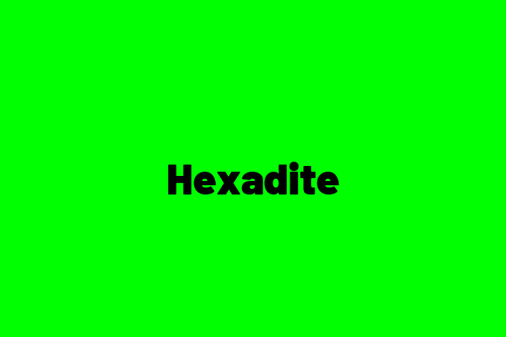 Software Development Company Hexadite