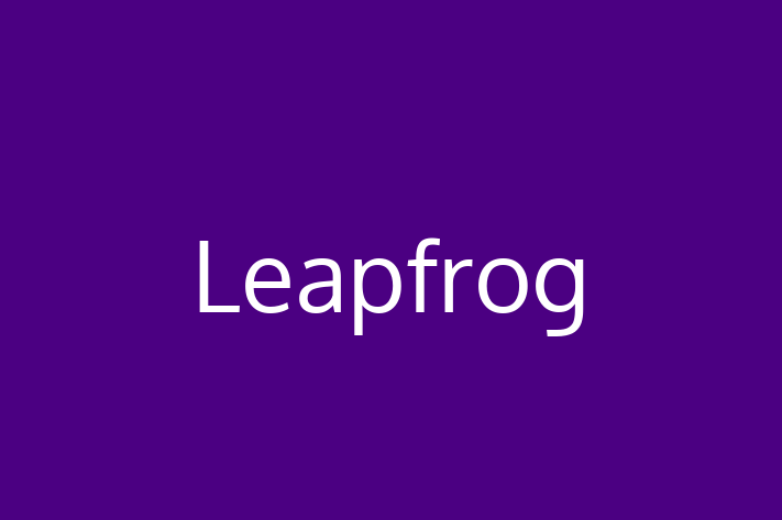 Software Engineering Company Leapfrog