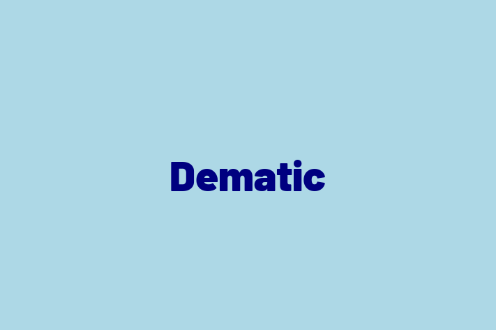 HR Administration Dematic