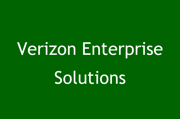 Software Services Company Verizon Enterprise Solutions