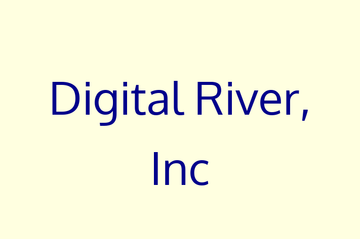 IT Company Digital River Inc