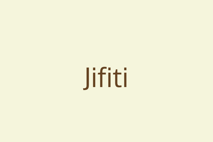 Tech Firm Jifiti