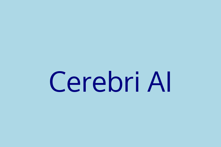 Software Engineering Company Cerebri AI