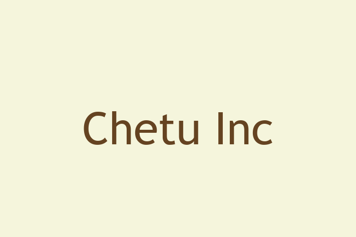 Software Development Company Chetu Inc