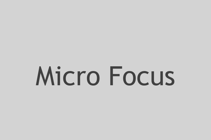 Digital Solutions Provider Micro Focus