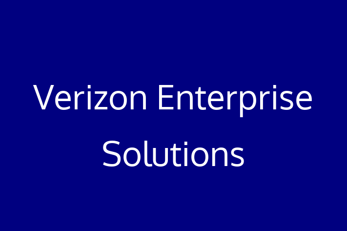 Application Development Company Verizon Enterprise Solutions