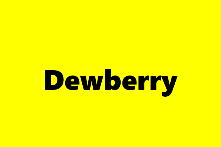 Software Solutions Provider Dewberry