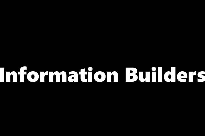 IT Company Information Builders