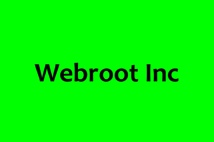 Digital Solutions Provider Webroot Inc