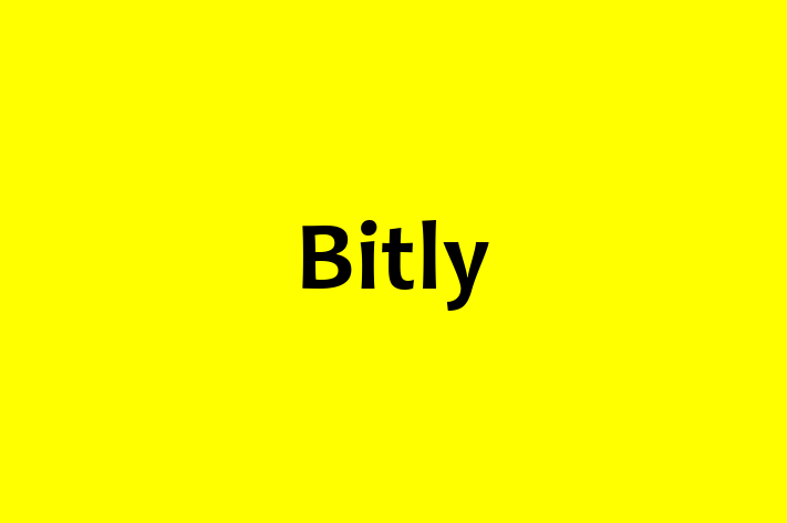 Software Consultancy Bitly