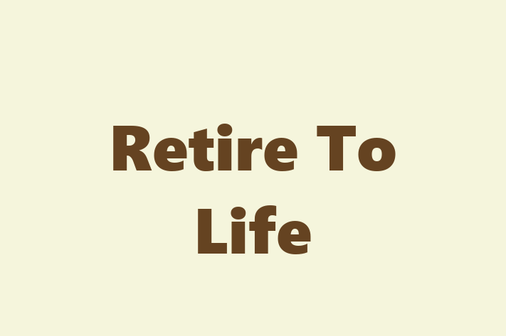 Software Consultancy Retire To Life