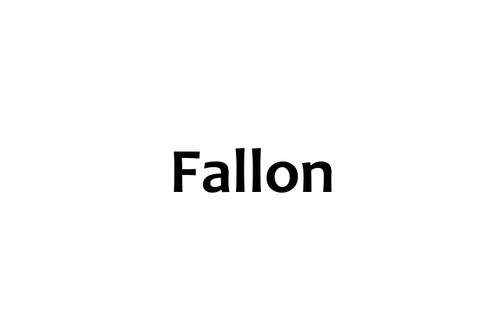 Software Engineering Company Fallon