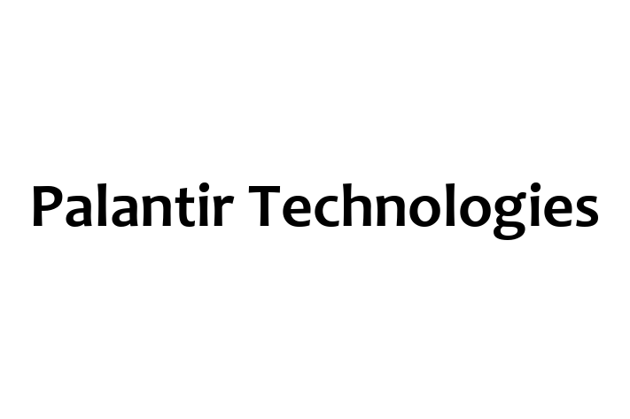 Software Engineering Company Palantir Technologies