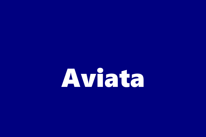 IT Company Aviata