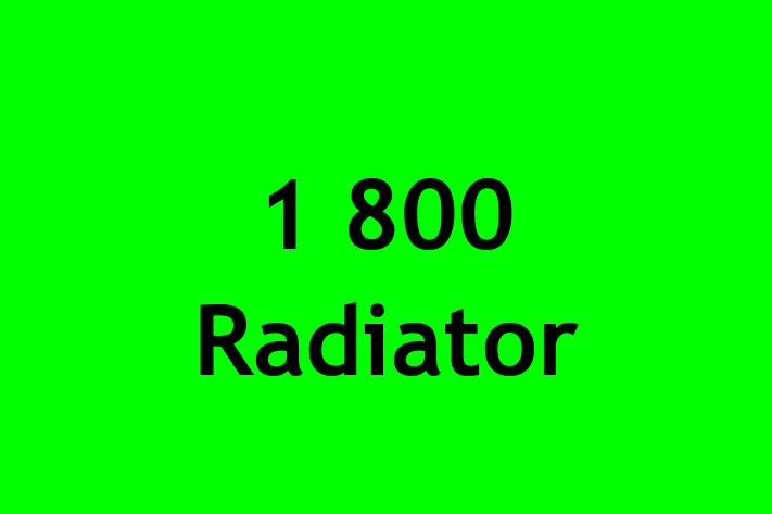 Technology Solutions Firm 1 800 Radiator