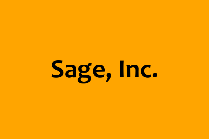 IT Company Sage Inc.