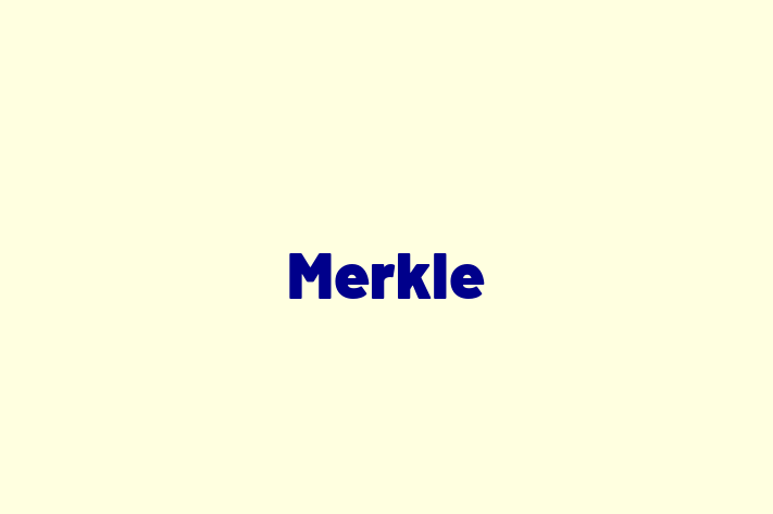 Software Engineering Company Merkle