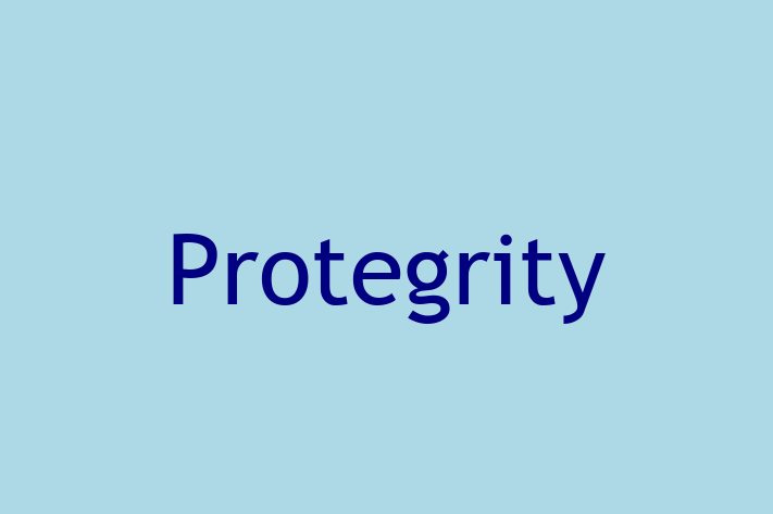 Software Development Company Protegrity