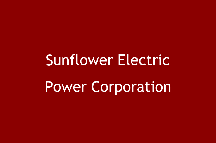 Technology Company Sunflower Electric Power Corporation