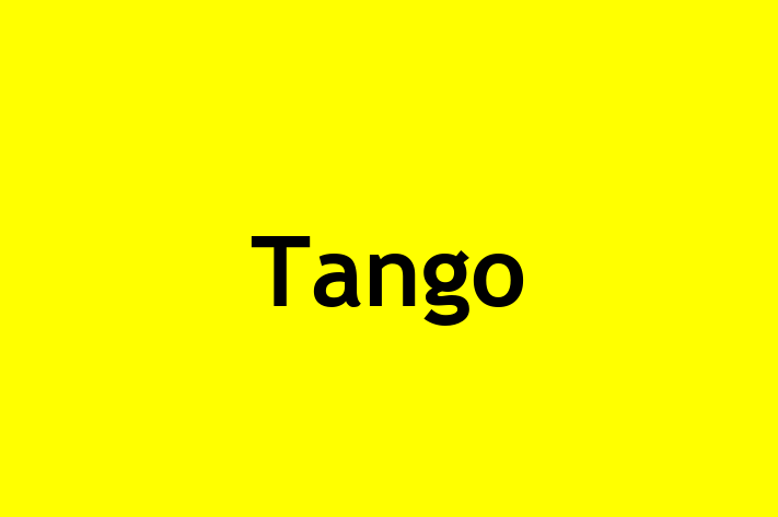 People Management Tango