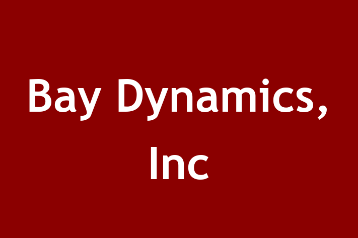 Application Development Company Bay Dynamics Inc