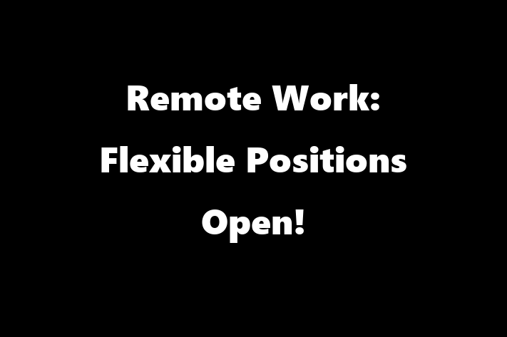 Remote Work Flexible Positions Open