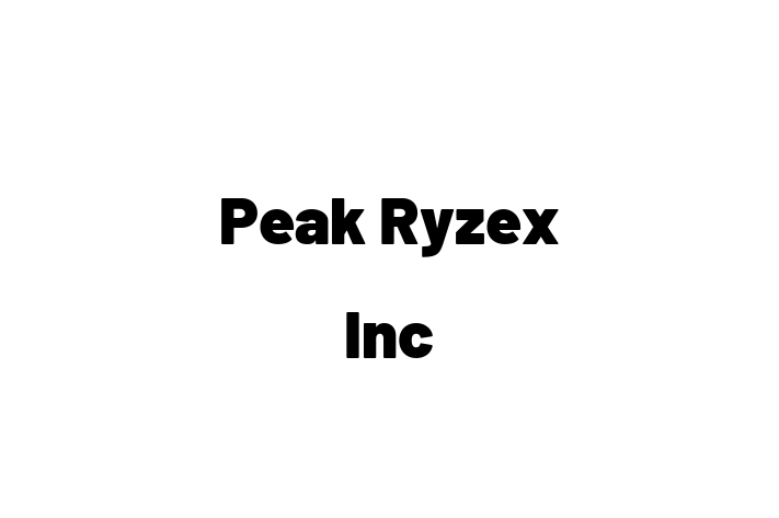 Software Development Firm Peak Ryzex Inc