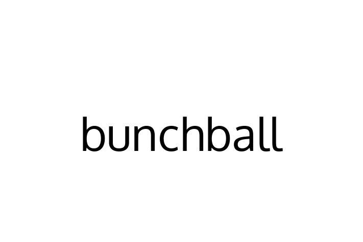 Software Development Company bunchball