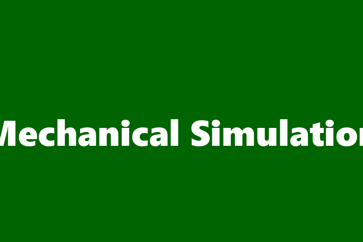 Software Development Firm Mechanical Simulation