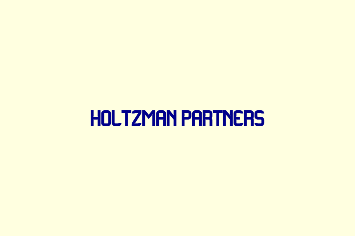 Talent Management Holtzman Partners