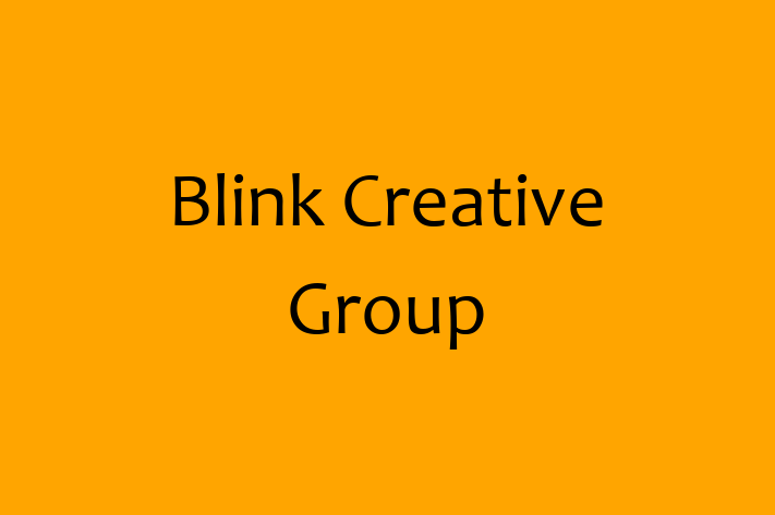 Software Services Company Blink Creative Group