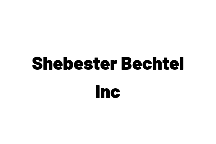 Staff Management Shebester Bechtel Inc