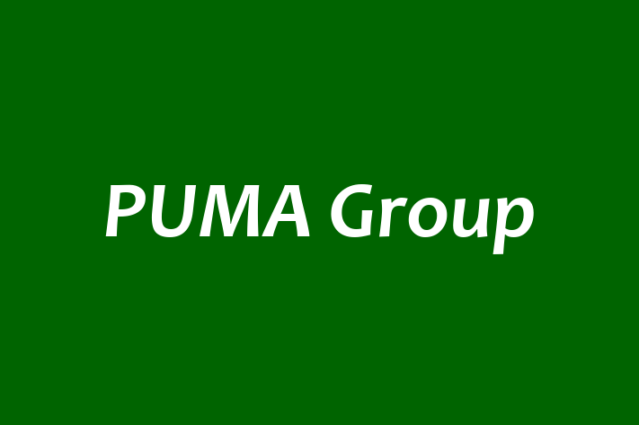 Human Capital Management PUMA Group