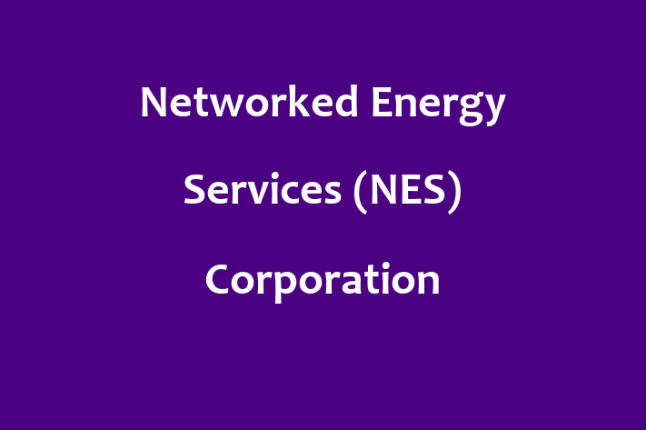 Application Development Company Networked Energy Services NES Corporation